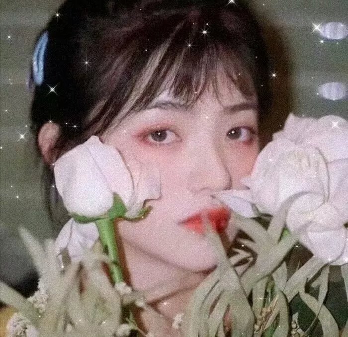 新片推荐