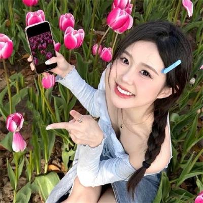 美丽的岛屿