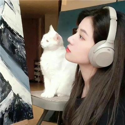 摇破天惊